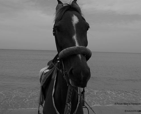 HORSE-POOR-MALNUTRICIAN-BLACK & WHITE-COLOR-PHOTOGRAPHY-XANDRIA-NOIR