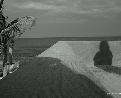 SHADOW-BEACH-PALM-BLACK & WHITE-COLOR-PHOTOGRAPHY-XANDRIA-NOIR