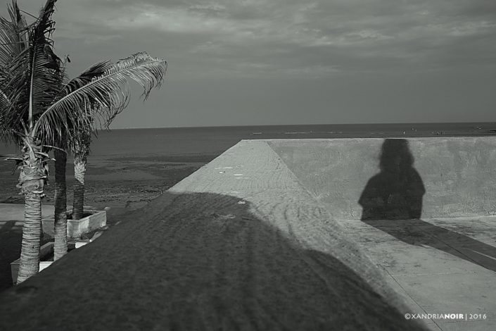 SHADOW-BEACH-PALM-BLACK & WHITE-COLOR-PHOTOGRAPHY-XANDRIA-NOIR
